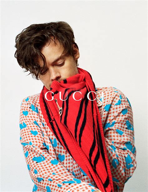 Harry Styles Gucci label